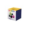 Set 5 dés coquins Ooo - Wooomy