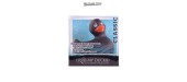 Canard vibrant Duckie 2.0 Classic - noir