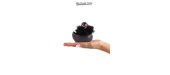Mini canard vibrant Duckie Paris - noir