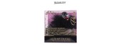 Mini canard vibrant Duckie Paris - noir