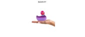 Mini canard vibrant Colors rose
