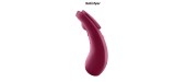 Stimulateur Sexy Secret - Satisfyer