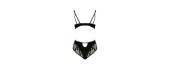 Body Victoria - Casmir