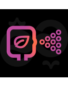 Sprays Nettoyant Sextoys Bio