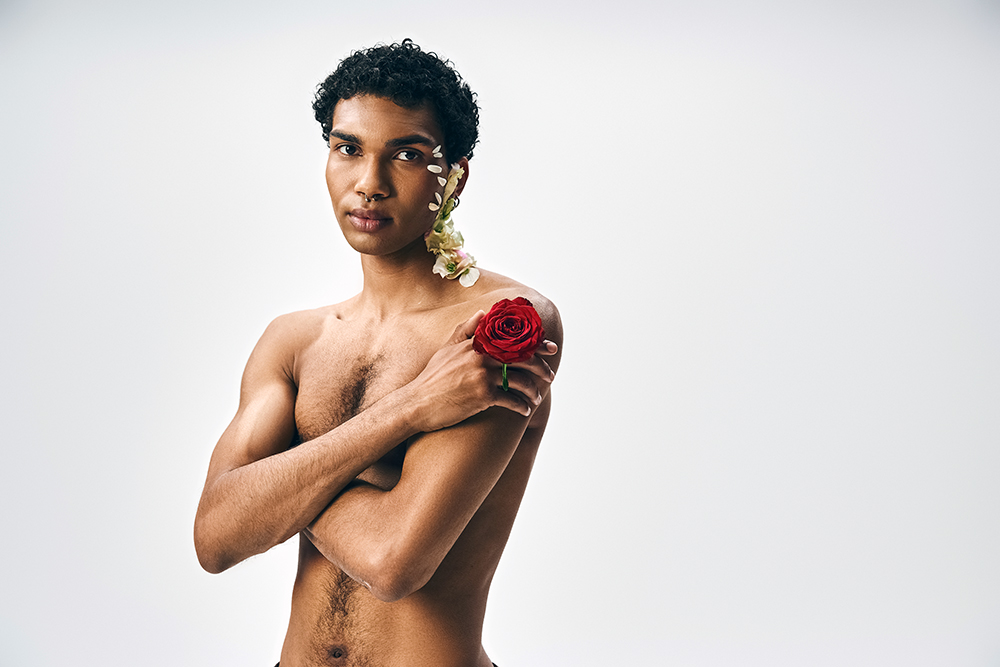 floral-adonis-against-a-grey-backdrop-2024-11-16-08-09-24-utc.jpg
